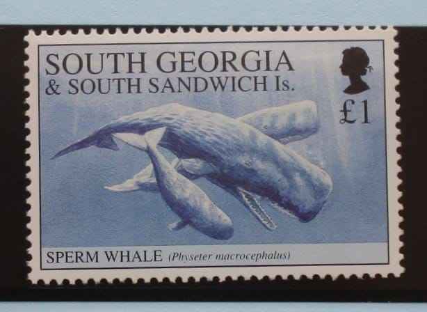 South Georgia and South Sandwich Islands Stamps, 1994, SG240, Mint image 0
