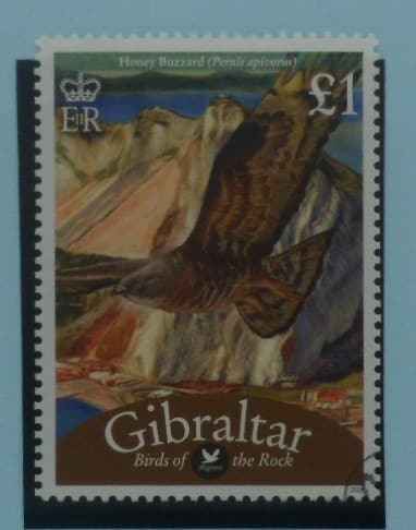 Gibraltar Stamps, 2008-12, SG1259, Used image 0