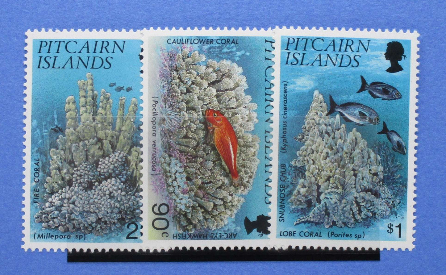 Pitcairn Islands Stamps, 1994, SG454-456, Mint image 0