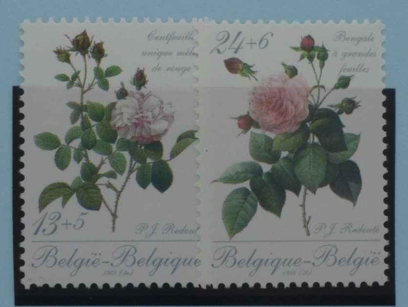 Belgium Stamps, 1989, SG2979-2980, Mint image 0