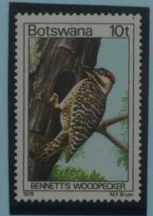Botswana Stamps, 1978, SG417, Mint image 0