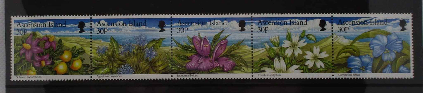 Ascension Island Stamps, 1997, SG713a, Mint image 0