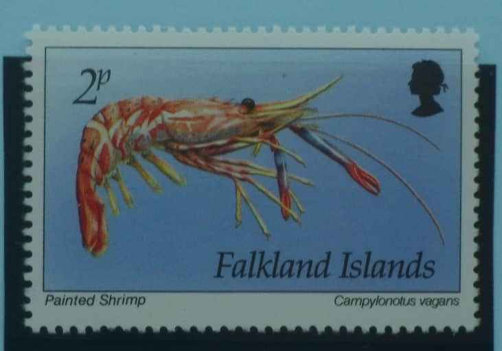 Falkland Islands Stamps, 1994, SG702, Mint image 0