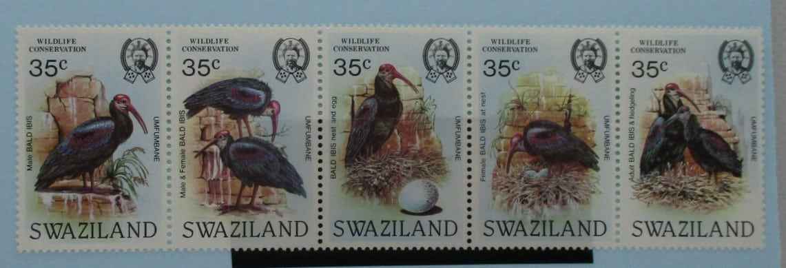 Swaziland Stamps, 1985, SG481a, Mint image 0