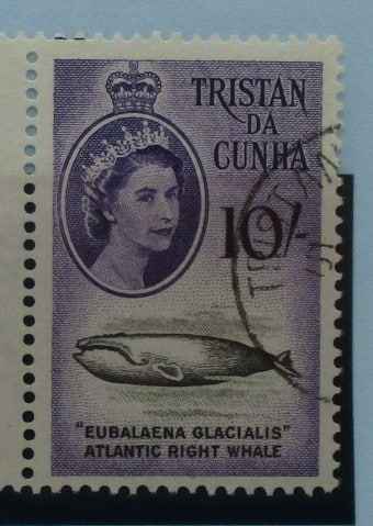 Tristan da Cunha Stamps, 1960, SG41, Used image 0