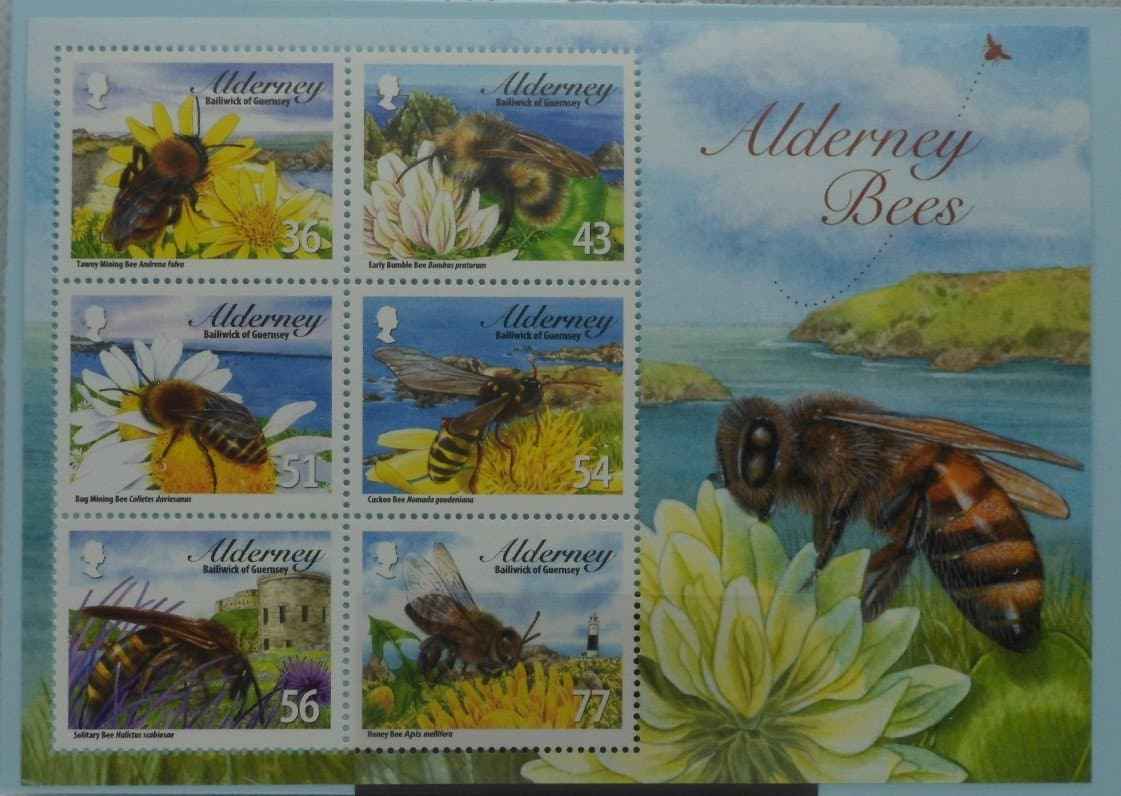 Alderney Stamps, 2009, MSA362, Mint image 0