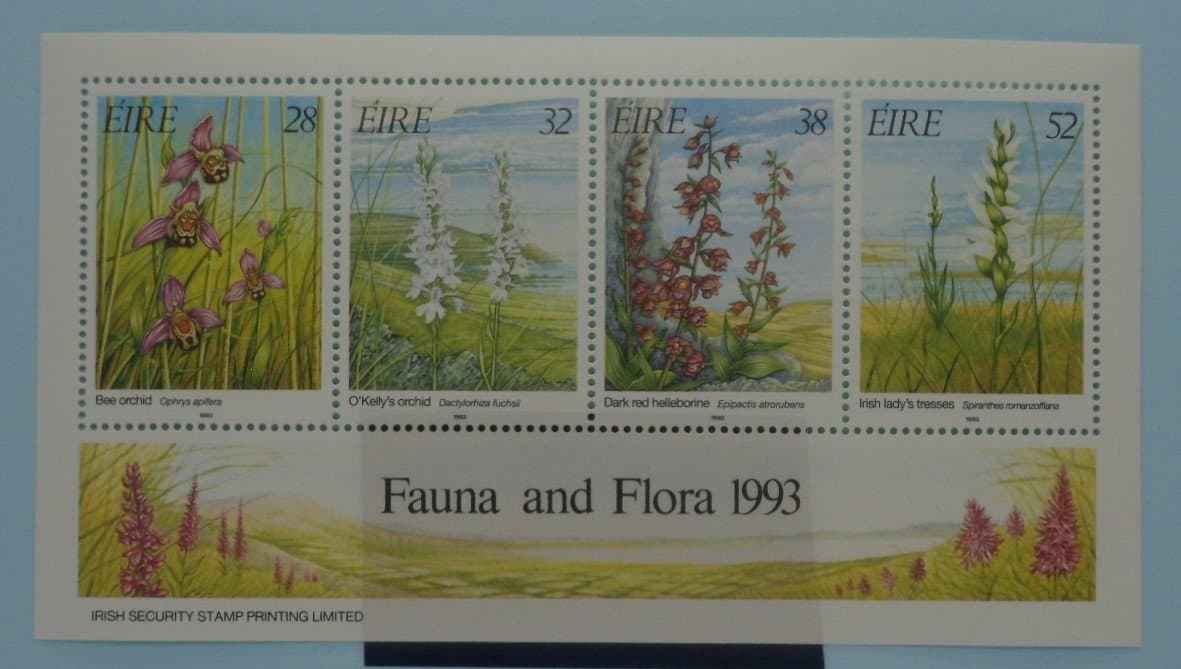 Ireland Stamps, 1993, MS875, Mint image 0