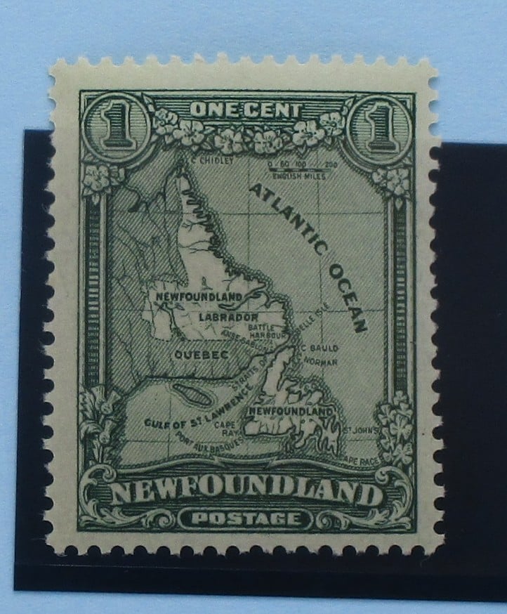 Newfoundland Stamps, 1928-29, SG164, Mint image 0