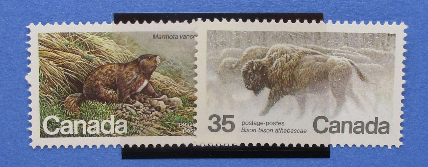 Canada Stamps, 1981, SG1006-1007, Mint image 0