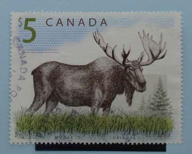 Canada Stamps, 1997-2010, SG1762, Used image 0