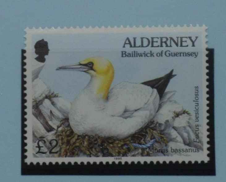 Alderney Stamps, 1994-98, SGA77, Mint image 0