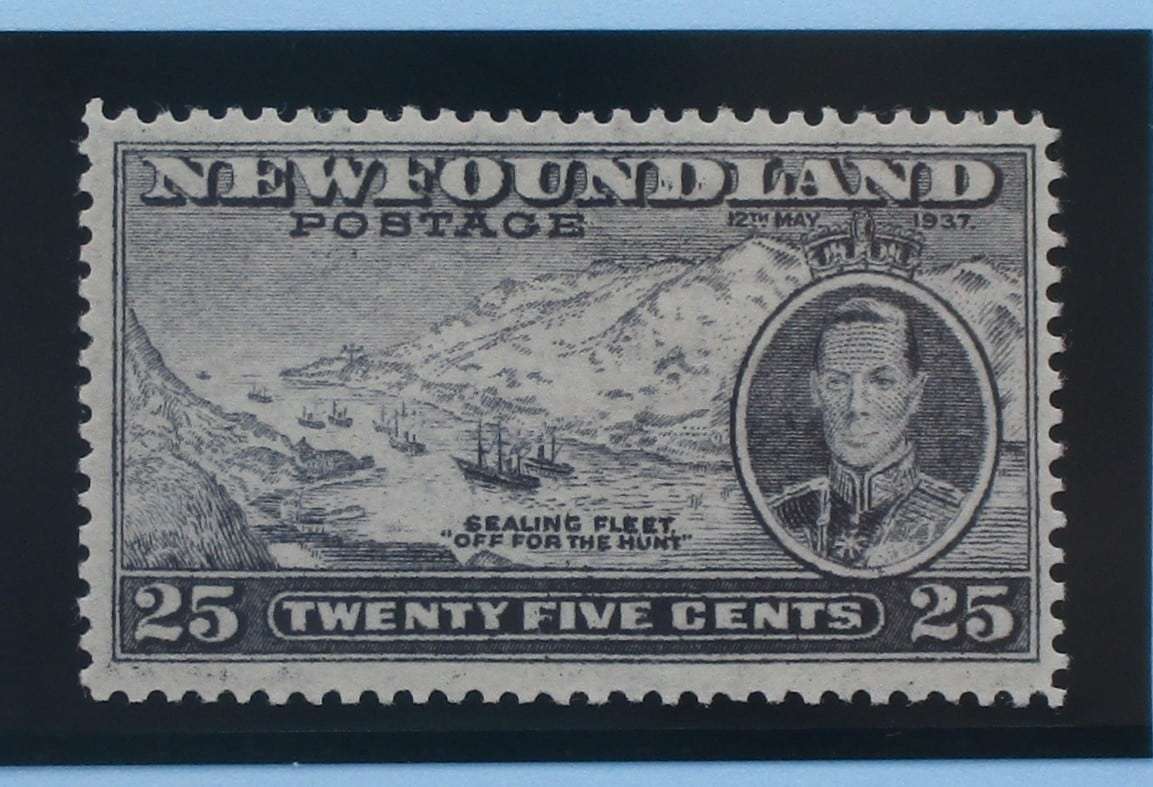 Newfoundland Stamps, 1937, SG266, Mint image 0