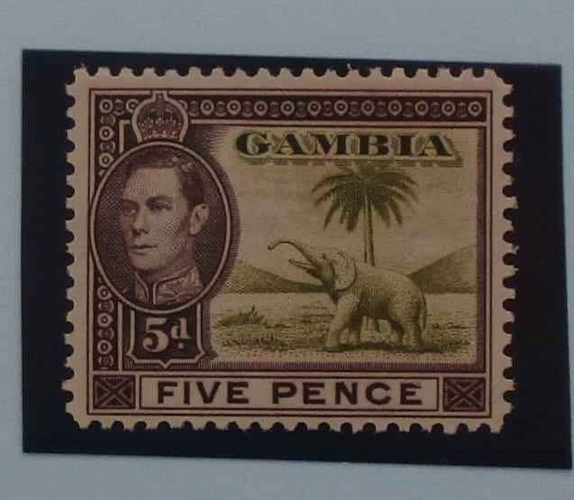 Gambia Stamps, 1938-46, SG154a, Mint image 0
