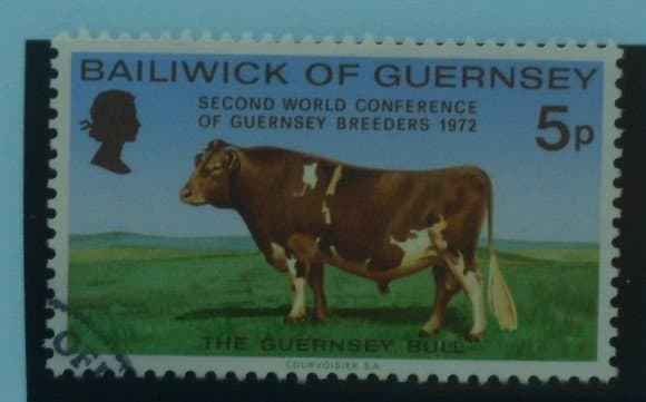 Guernsey Stamps, 1972, SG71, Used image 0