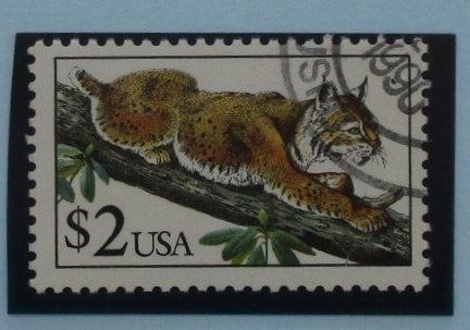 USA Stamps, 1990, SG2523, Used image 0