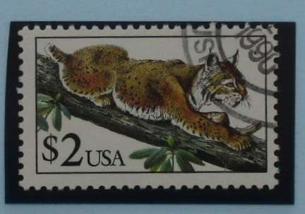USA Stamps, 1990, SG2523, Used image 0