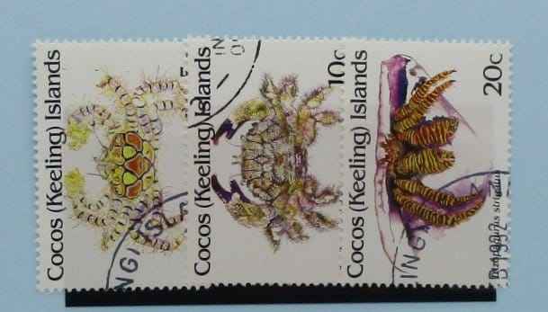 Cocos (Keeling) Islands Stamps, 1992, SG252-254, Used image 0