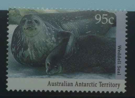 Australian Antarctic Territory Stamps, 1992-93, SG93, Mint image 0