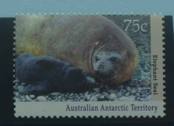 Australian Antarctic Territory Stamps, 1992-93, SG91, Mint image 0