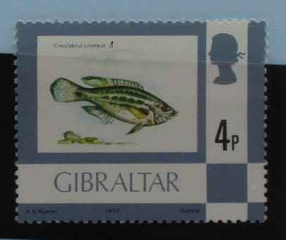 Gibraltar Stamps, 1977-82, SG379, Mint image 0