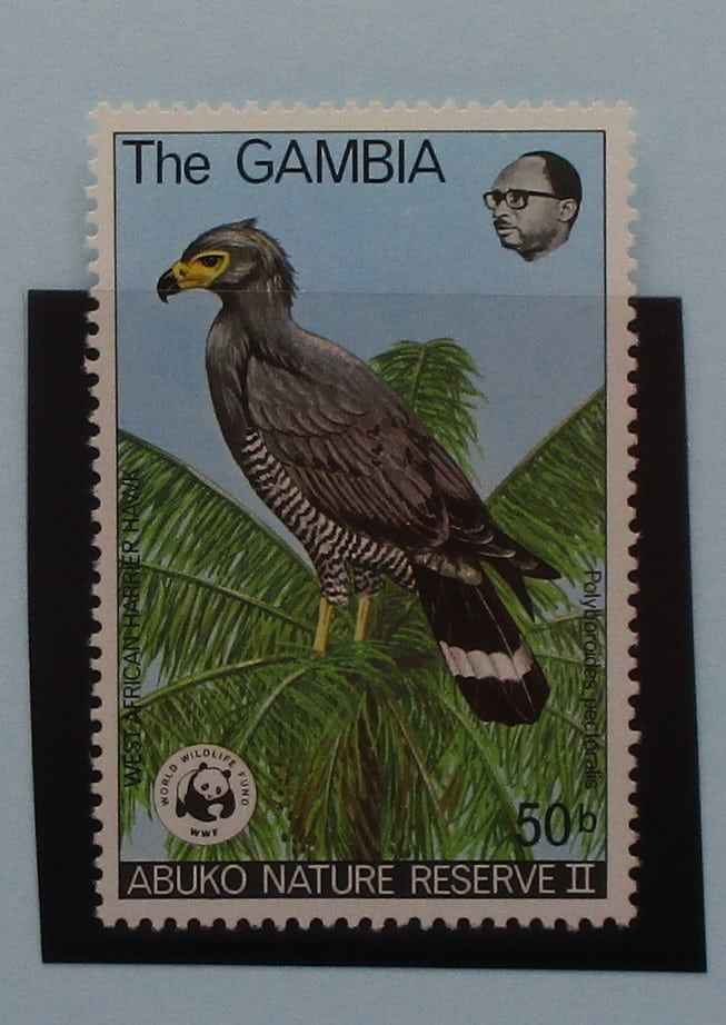 Gambia Stamps, 1978, SG402, Mint image 0