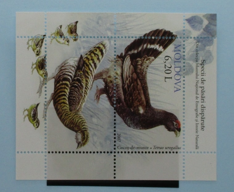 Moldova Stamps, 2007, MS586, Mint image 0