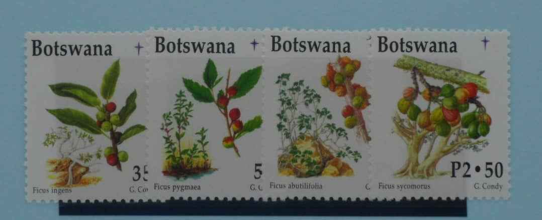 Botswana Stamps, 1998, SG895-898, Mint image 0