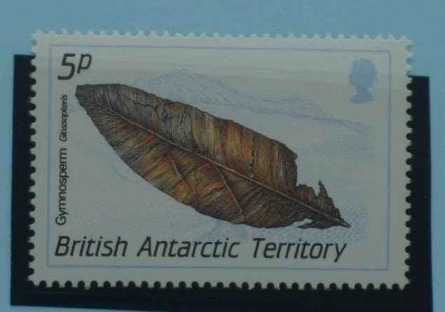 British Antarctic Territory Stamps, 1990, SG175, Mint image 0