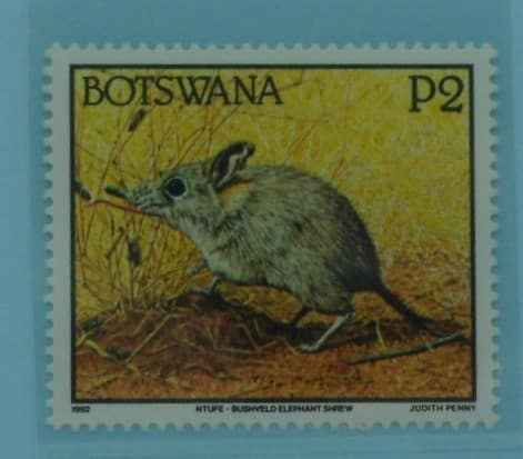 Botswana Stamps, 1992, SG753, Mint image 0