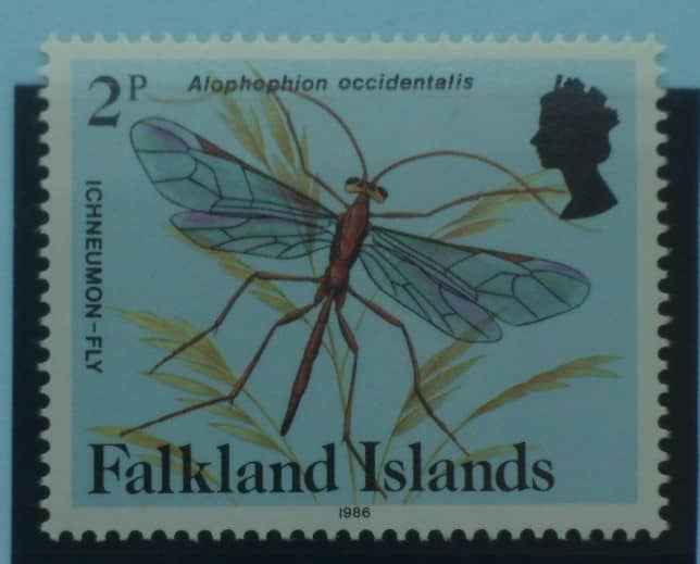 Falkland Islands Stamps, 1984, SG470B, Mint image 0