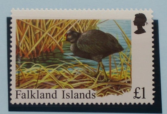 Falkland Islands Stamps, 1998, SG813, Mint image 0