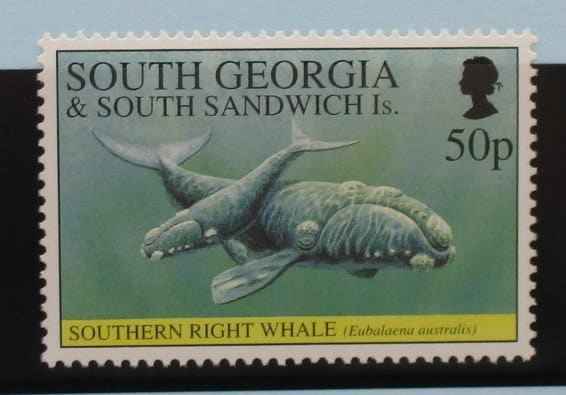 South Georgia and South Sandwich Islands Stamps, 1994, SG239, Mint image 0