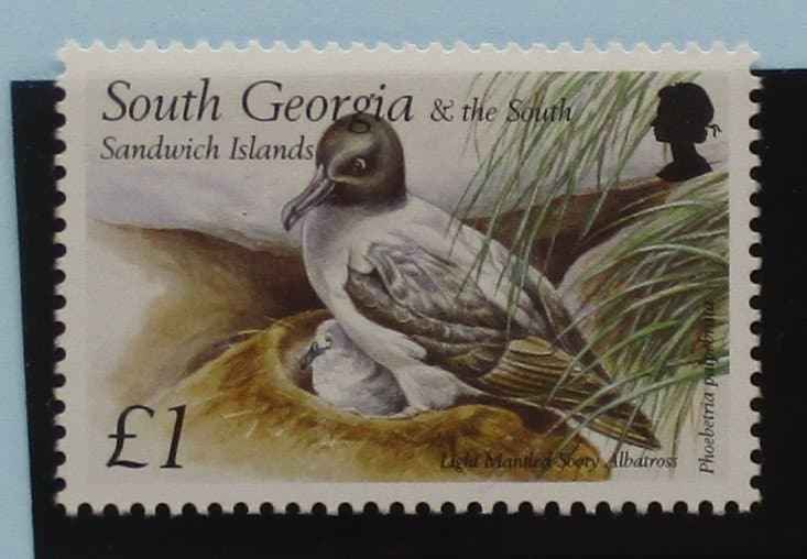 South Georgia and South Sandwich Islands Stamps, 1999, SG303, Mint image 0