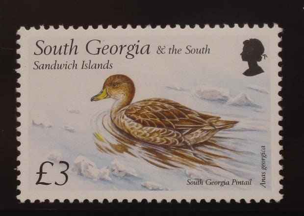 South Georgia and South Sandwich Islands Stamps, 1999, SG304, Mint image 0