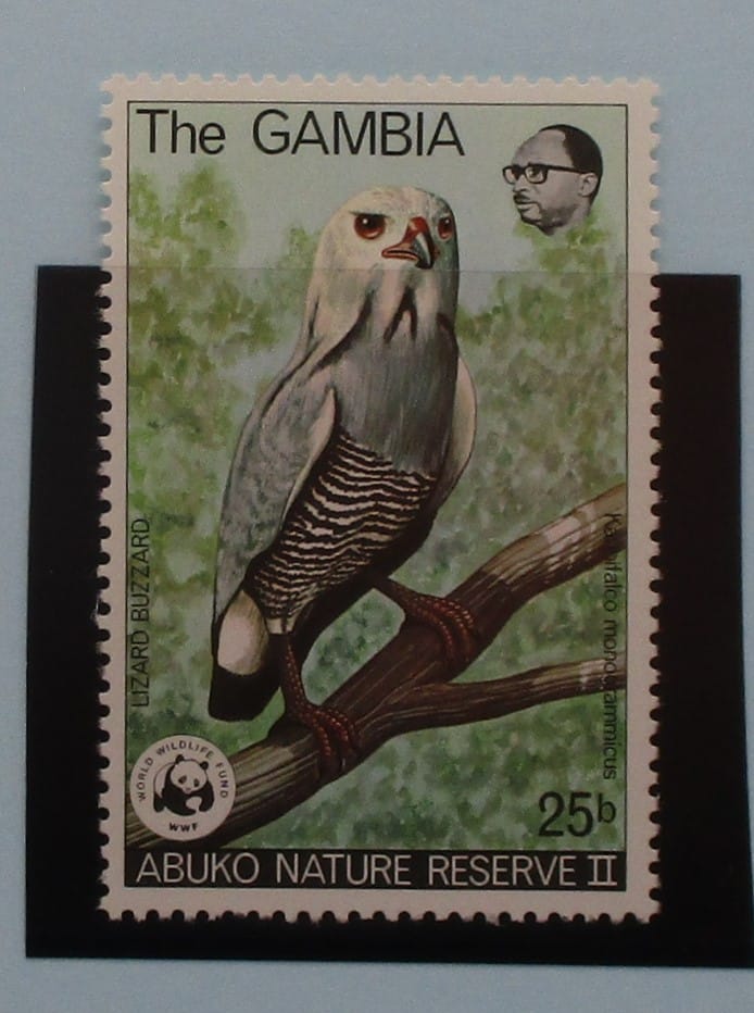Gambia Stamps, 1978, SG401, Mint image 0