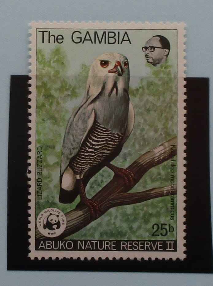 Gambia Stamps, 1978, SG401, Mint image 0