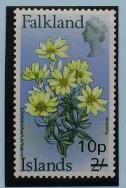 Falkland Islands Stamps, 1971, SG273, Mint image 0