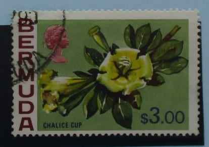 Bermuda Stamps, 1975, SG265a, Used image 0