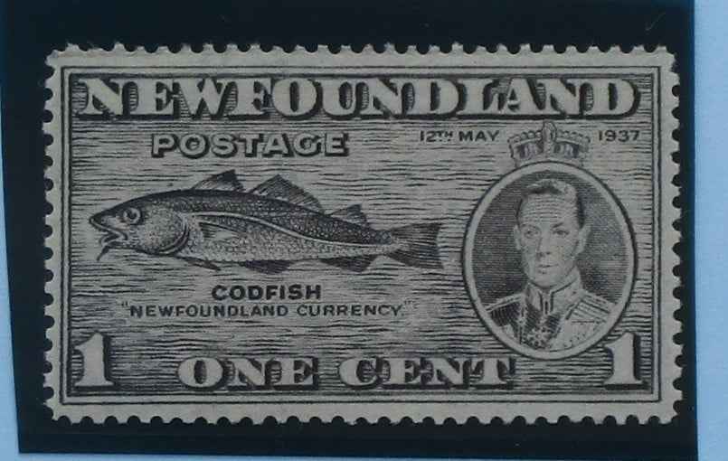 Newfoundland Stamps, 1937, SG257, Mint image 0