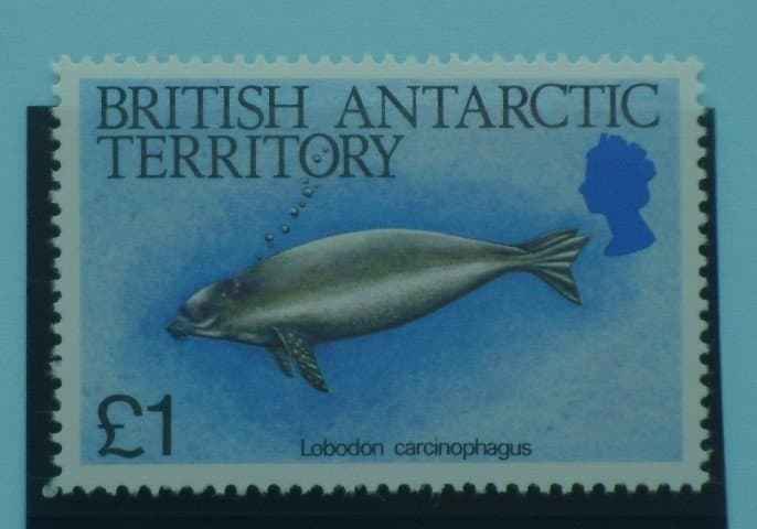 British Antarctic Territory Stamps, 1984, SG137, Mint image 0