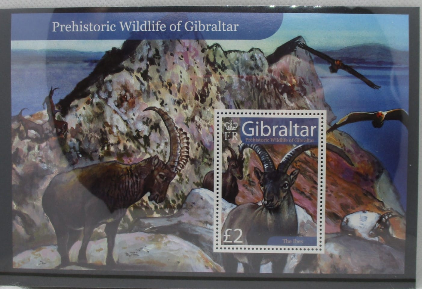 Gibraltar Stamps, 2007, MS1225, Mint image 0