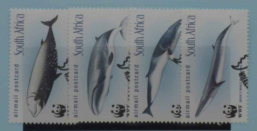South Africa Stamps, 1998, SG1101-1104, Used image 0