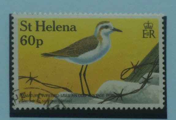 St Helena Stamps, 1993, SG635, Used image 0