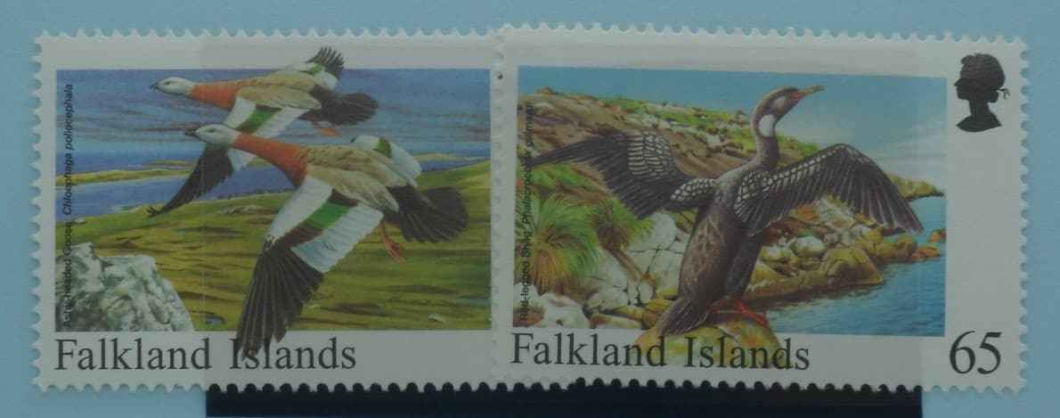 Falkland Islands Stamps, 1998, SG810-811, Mint image 0