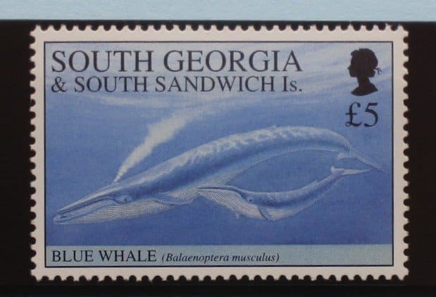 South Georgia and South Sandwich Islands Stamps, 1994, SG242, Mint image 0