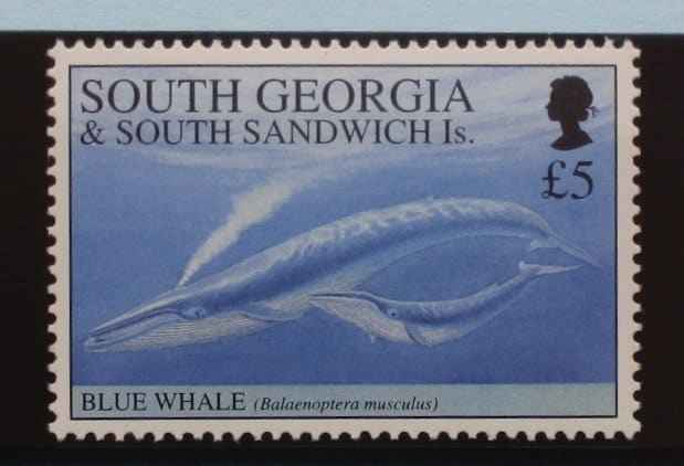 South Georgia and South Sandwich Islands Stamps, 1994, SG242, Mint image 0