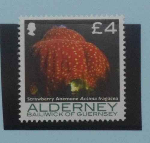 Alderney Stamps, 2006-07, SGA308, Mint image 0