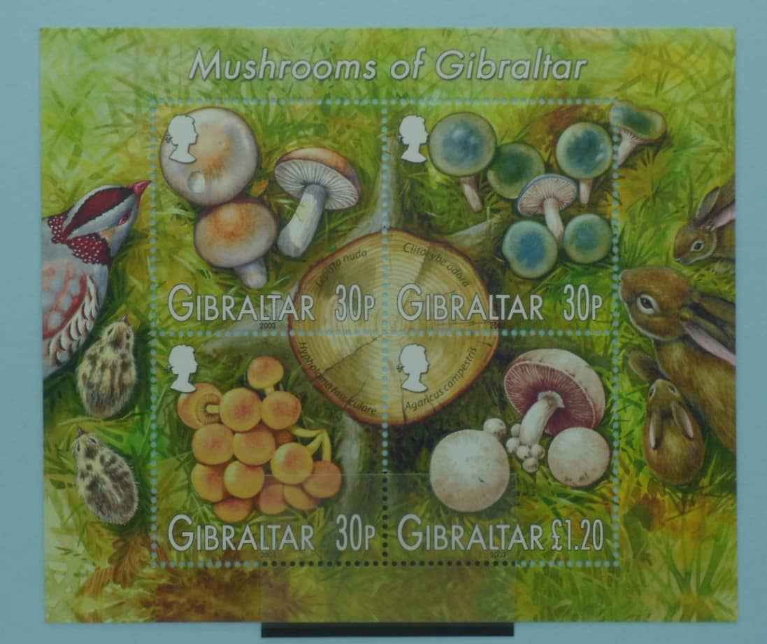 Gibraltar Stamps, 2003, MS1061, Mint image 0