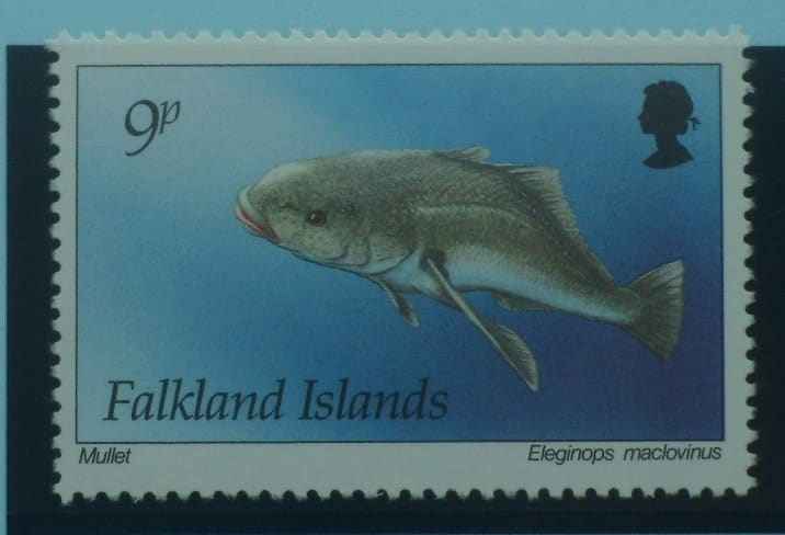Falkland Islands Stamps, 1994, SG704, Mint image 0