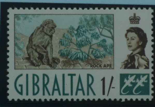 Gibraltar Stamps, 1960-62, SG169, Mint image 0
